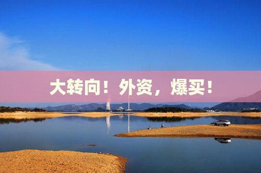 大转向！外资，爆买！