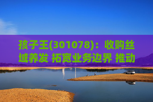 孩子王(301078)：收购丝域养发 拓宽业务边界 推动产业协同发展