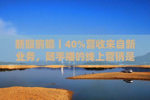 新股前瞻丨40%营收来自新业务，随手播的线上营销是可持续模式还是昙花一现？