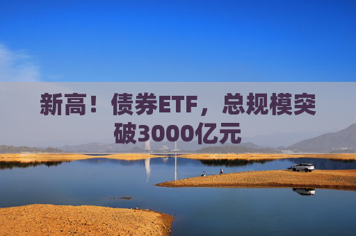新高！债券ETF，总规模突破3000亿元