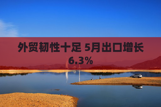 外贸韧性十足 5月出口增长6.3%  第1张