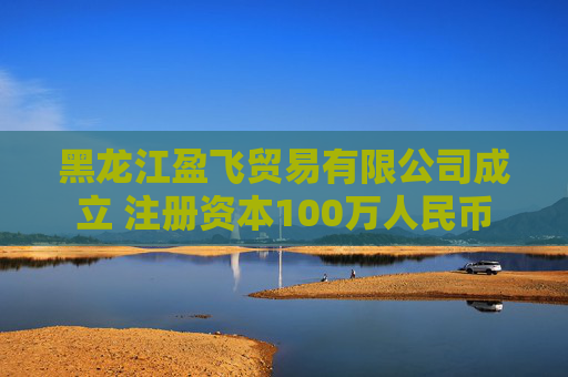 黑龙江盈飞贸易有限公司成立 注册资本100万人民币
