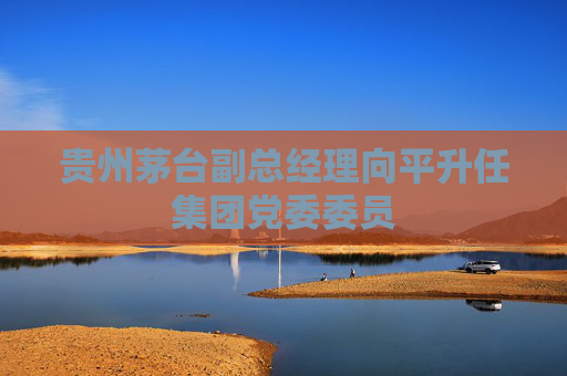贵州茅台副总经理向平升任集团党委委员  第1张