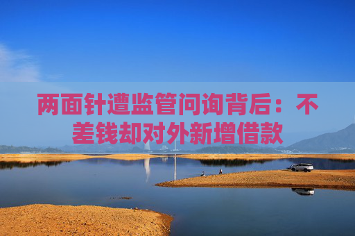 两面针遭监管问询背后：不差钱却对外新增借款