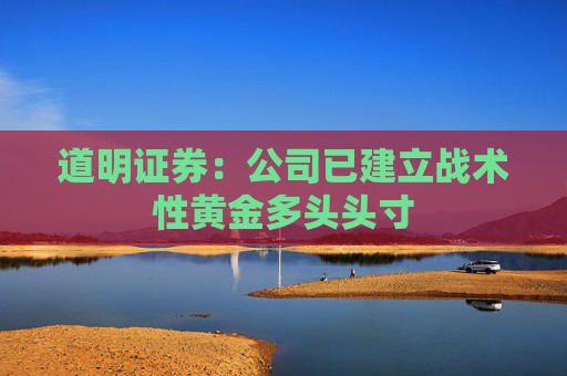 道明证券：公司已建立战术性黄金多头头寸