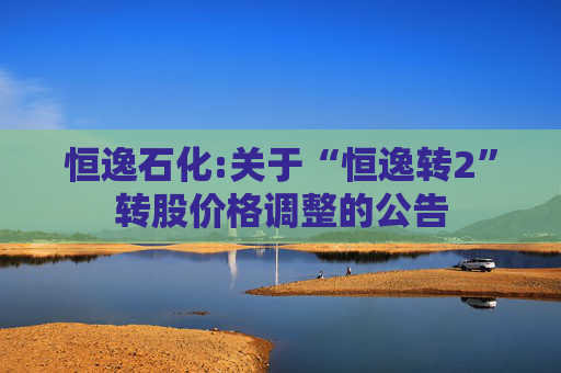 恒逸石化:关于“恒逸转2”转股价格调整的公告