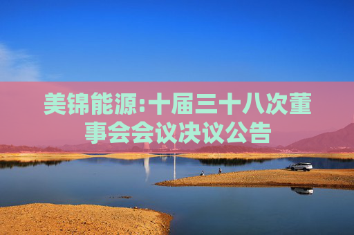美锦能源:十届三十八次董事会会议决议公告