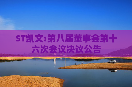 ST凯文:第八届董事会第十六次会议决议公告