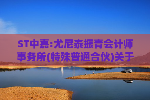 ST中嘉:尤尼泰振青会计师事务所(特殊普通合伙)关于对中嘉博创信息技术股份有限公司2024年年报的问询函的回复