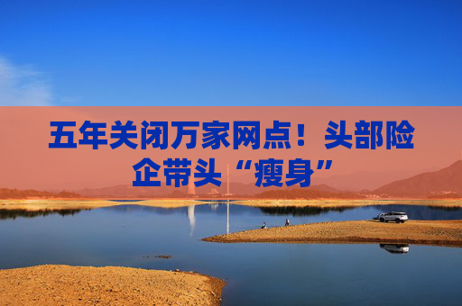五年关闭万家网点！头部险企带头“瘦身”