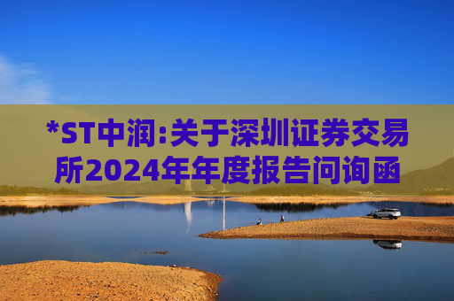 *ST中润:关于深圳证券交易所2024年年度报告问询函回复的公告