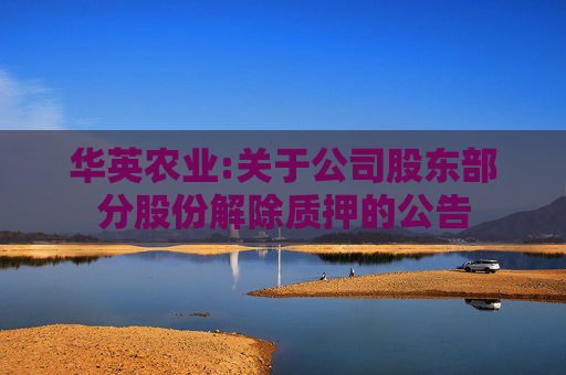 华英农业:关于公司股东部分股份解除质押的公告