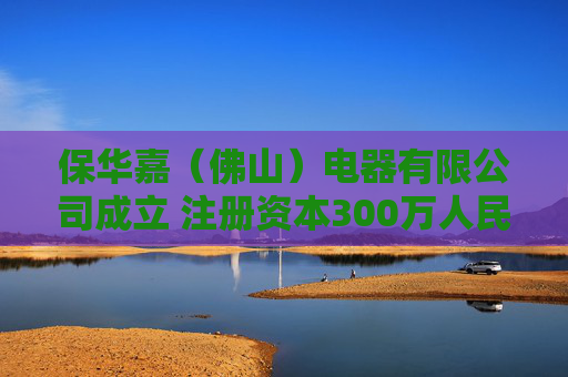 保华嘉（佛山）电器有限公司成立 注册资本300万人民币