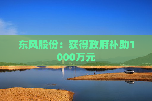 东风股份：获得政府补助1000万元