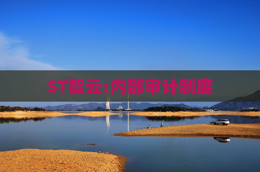 ST智云:内部审计制度