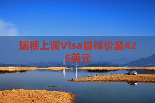 瑞穗上调Visa目标价至425美元