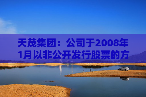 天茂集团：公司于2008年1月以非公开发行股票的方式发行了8200万股人民币普通股