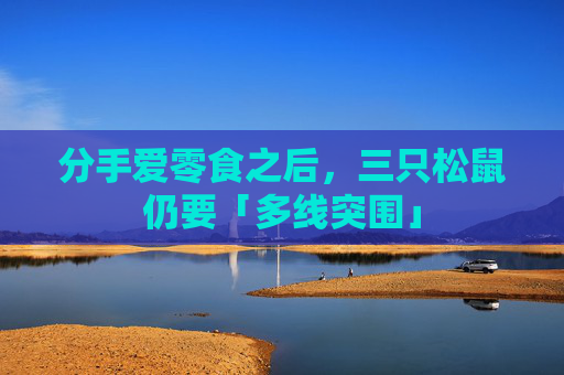 分手爱零食之后，三只松鼠仍要「多线突围」