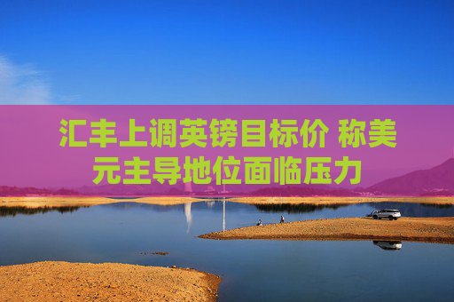 汇丰上调英镑目标价 称美元主导地位面临压力