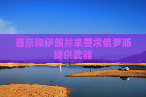 普京称伊朗并未要求俄罗斯提供武器