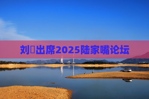 刘珺出席2025陆家嘴论坛