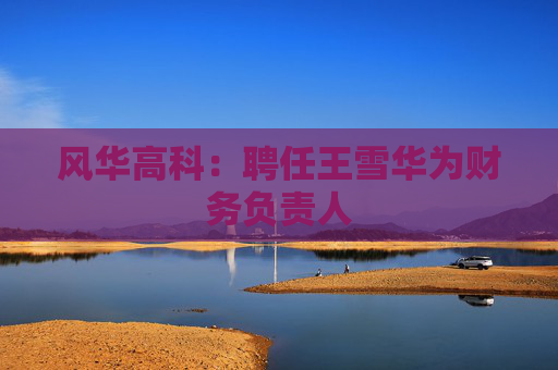 风华高科：聘任王雪华为财务负责人