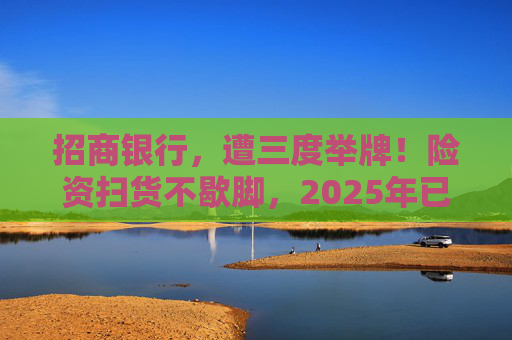 招商银行，遭三度举牌！险资扫货不歇脚，2025年已有13家上市公司被险资举牌