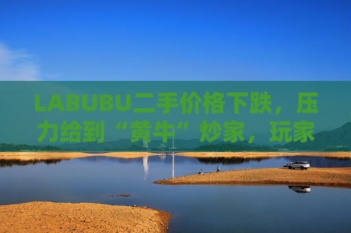 LABUBU二手价格下跌，压力给到“黄牛”炒家，玩家：持续断货只会消耗热情