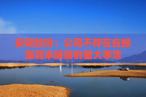 安妮股份：公司不存在应披露而未披露的重大事项