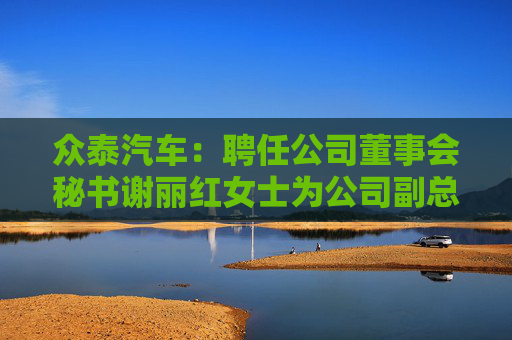 众泰汽车：聘任公司董事会秘书谢丽红女士为公司副总裁