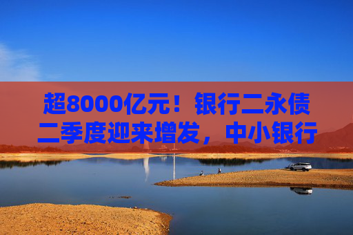 超8000亿元！银行二永债二季度迎来增发，中小银行下半年接棒新增规模或超4000亿元