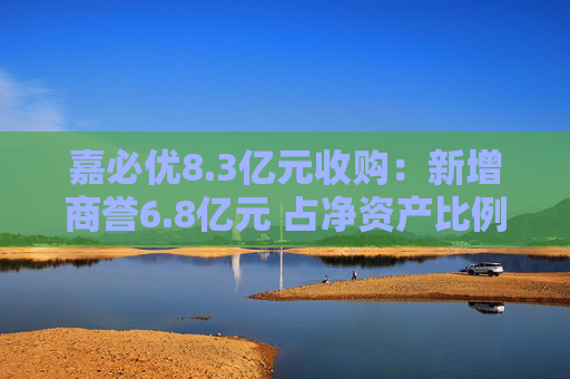 嘉必优8.3亿元收购：新增商誉6.8亿元 占净资产比例高达30%