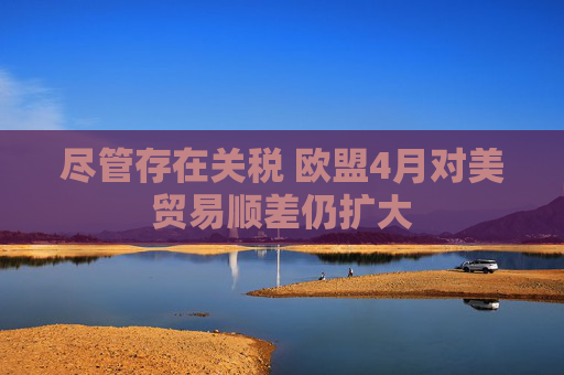 尽管存在关税 欧盟4月对美贸易顺差仍扩大