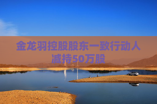 金龙羽控股股东一致行动人减持50万股