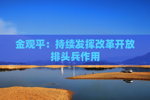 金观平：持续发挥改革开放排头兵作用