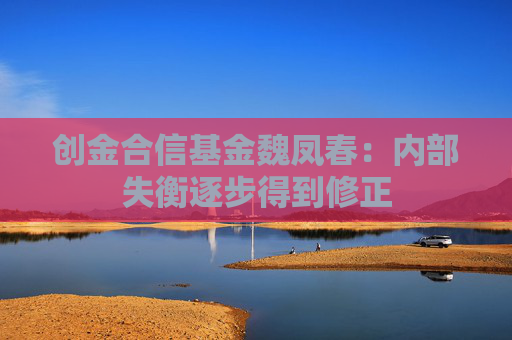 创金合信基金魏凤春：内部失衡逐步得到修正