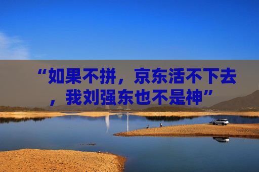 “如果不拼，京东活不下去，我刘强东也不是神”