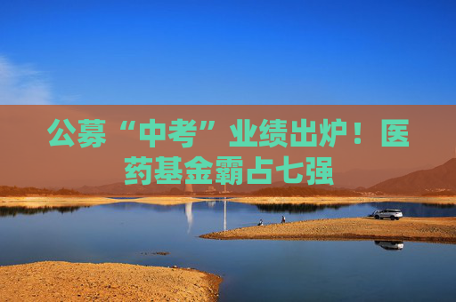 公募“中考”业绩出炉！医药基金霸占七强