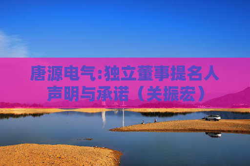 唐源电气:独立董事提名人声明与承诺（关振宏）