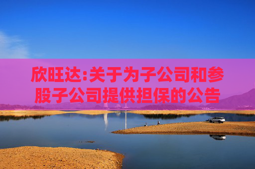 欣旺达:关于为子公司和参股子公司提供担保的公告