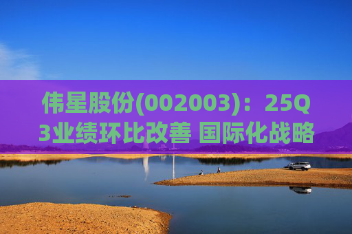 伟星股份(002003)：25Q3业绩环比改善 国际化战略保障成长