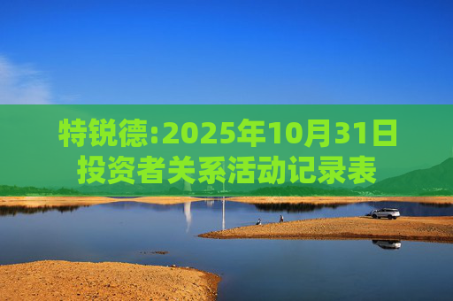 特锐德:2025年10月31日投资者关系活动记录表