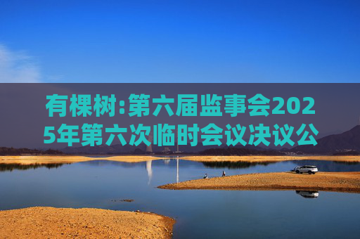 有棵树:第六届监事会2025年第六次临时会议决议公告