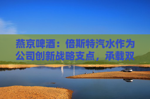 燕京啤酒：倍斯特汽水作为公司创新战略支点，承载双重使命