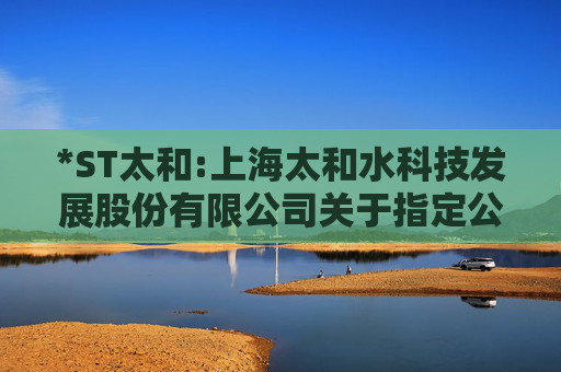*ST太和:上海太和水科技发展股份有限公司关于指定公司董事代行董事会秘书职责的公告