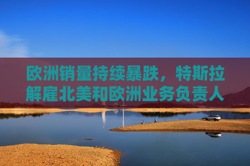 欧洲销量持续暴跌，特斯拉解雇北美和欧洲业务负责人，曾是马斯克心腹