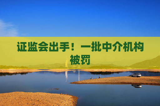 证监会出手！一批中介机构被罚