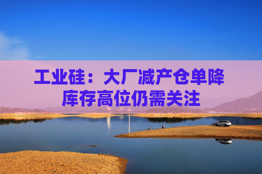 工业硅：大厂减产仓单降 库存高位仍需关注