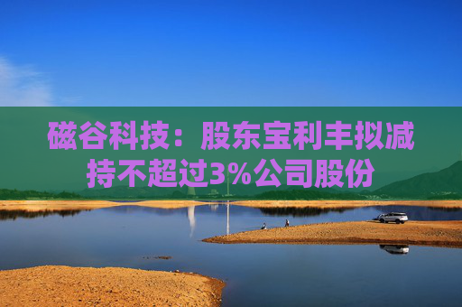 磁谷科技：股东宝利丰拟减持不超过3%公司股份