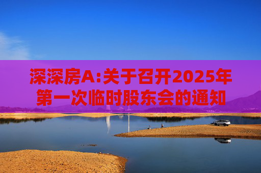 深深房A:关于召开2025年第一次临时股东会的通知